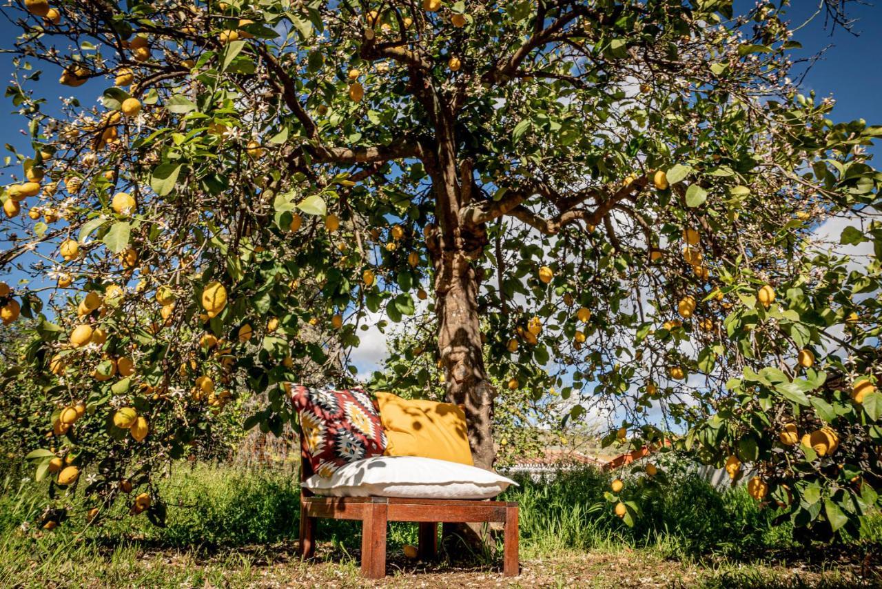 Finca El Limonar 埃尔乔罗 外观 照片