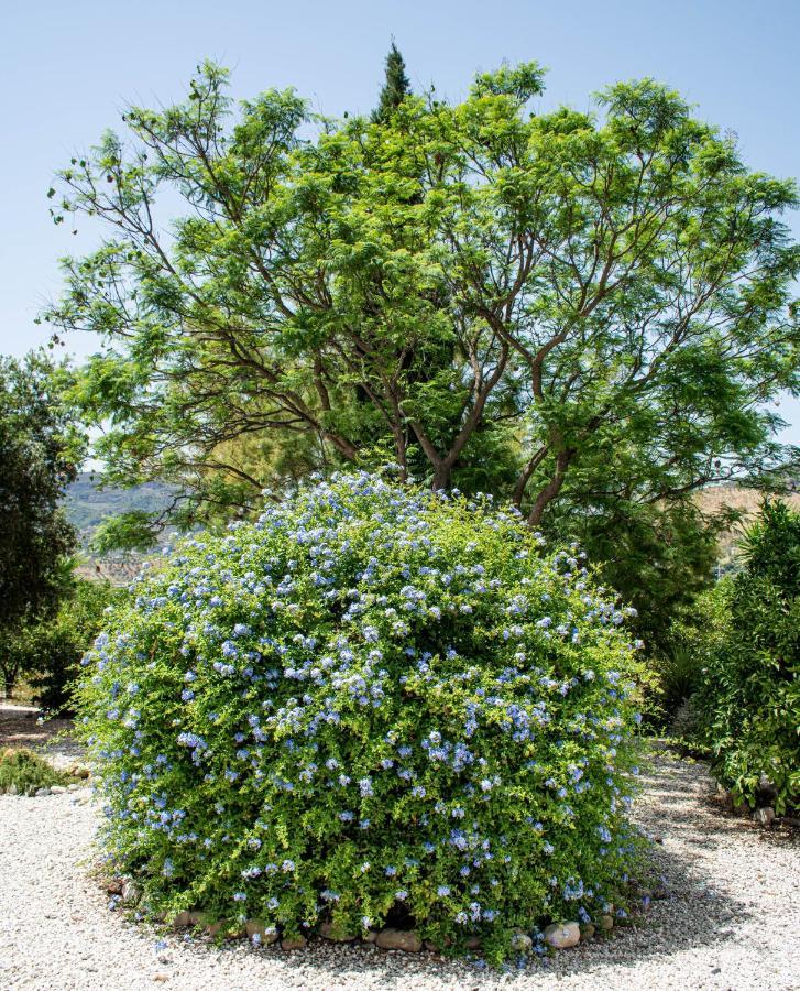 Finca El Limonar 埃尔乔罗 外观 照片